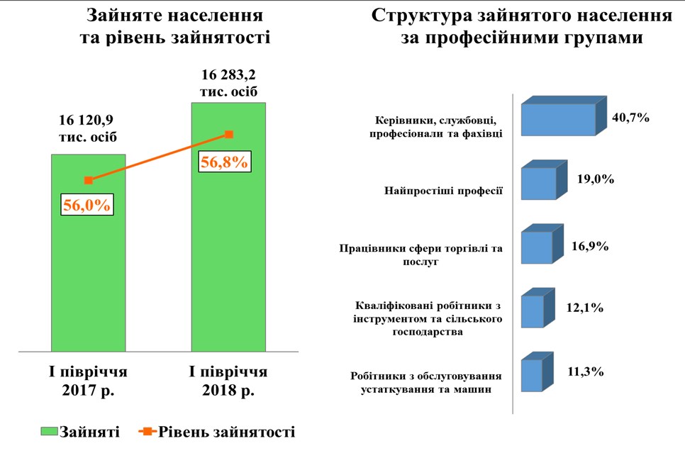 Курсовая работа по теме Фактори впливу на регулювання зайнятості населення Житомирської області